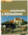 Polskie miasteczka z klimatem - Katarzyna Sołtyk