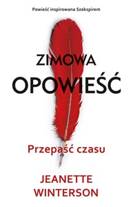 Przepaść czasu Zimowa opowieść buy polish books in Usa