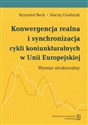 Konwergencja realna i synchronizacja cykli koniunkturalnych w Unii Europejskiej Wymiar strukturalny chicago polish bookstore