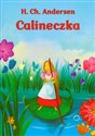 Calineczka books in polish