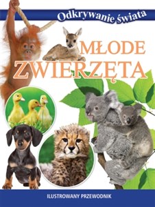 Młode zwierzęta Ilustrowany przewodnik books in polish