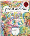 Gabinet anatomii Bookshop