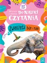 Zwierzęta duże i małe. Wyrazy i zdania do nauki czytania. Duże litery  - Monika Basiejko