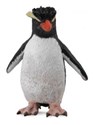 Pingwin rockhopper  - 