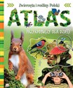 Atlas przyrodniczy dla dzieci Zwierzęta i rośliny Polski buy polish books in Usa