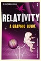Introducing Relativity A Graphic Guide chicago polish bookstore