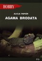 Agama brodata to buy in USA