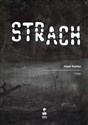 Strach - Polish Bookstore USA