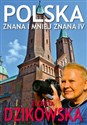 NEW 2 Wayfarers The Mystery of Sol   Polish bookstore