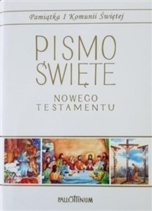 Pismo Święte - NT duże (komunia, komiks) online polish bookstore