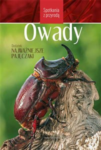 Owady Spotkania z przyrodą  