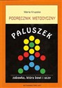 Paluszek Podręcznik metodyczny Zabawka, która bawi i uczy buy polish books in Usa
