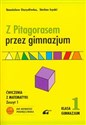Z Pitagorasem przez gimnazjum 1 Ćwiczenia Gimnazjum - Stanisław Durydiwka, Stefan Łęski