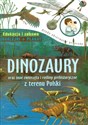 Dinozaury oraz inne zwierzęta i rośliny prehistoryczne z terenu Polski Edukacja i zabawa naklejki + plakat online polish bookstore