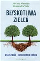 Błyskotliwa zieleń Wrażliwość i inteligencja - Stefano Mancuso, Alessandra Viola