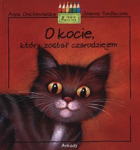 O kocie, który został czarodziejem - Polish Bookstore USA