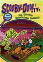 Scooby-Doo! i Ty Na tropie Świecącego Kosmity  Tom 3 - Polish Bookstore USA