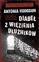 Diabeł z więzienia dłużników to buy in USA