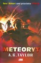 Meteoryt buy polish books in Usa