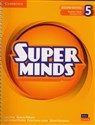 Super Minds 5 Teacher's Book with Digital Pack British English in polish