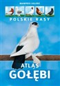 Atlas gołębi Polskie rasy - Polish Bookstore USA