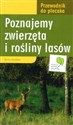 Poznajemy zwierzęta i rośliny lasów  