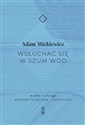 Wsłuchać się w szum wód - Mickiewicz Adam