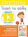 Uczeń na szóstkę Zeszyt 13 dla klasy 1 Ćwiczenia do Naszego elementarza Ministerstwa Edukacji Narodowej - Anna Wiśniewska