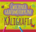 Ćwiczenia grafomotoryczne Kaligrafia - Polish Bookstore USA