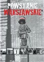 Powstanie Warszawskie - Piotr Rozwadowski  