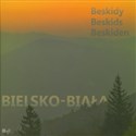 Bielsko-Biała i Beskidy Miasto z górami. - Wojciech Kryński Bookshop