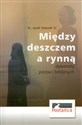 Między deszczem a rynną Dylematy postaci biblijnych Polish Books Canada