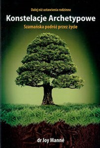 Konstelacje Archetypowe Szamańska podróż przez życie polish usa