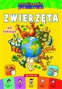 Zwierzęta Encyklopedia przedszkolaka Polish Books Canada
