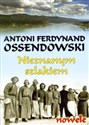 Nieznanym szlakiem nowele Polish Books Canada