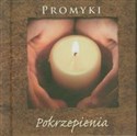 Promyki Pokrzepienia - Polish Bookstore USA