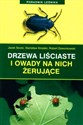 Drzewa liściaste i owady na nich żerujące - Jacek Stocki, Stanisław Kinelski, Robert Dzwonkowski