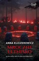 Mroczne letnisko  - Anna Klejzerowicz