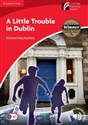 A Little Trouble in Dublin - Richard MacAndrew Polish Books Canada