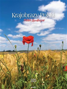 Kalendarz 2025 Ścienny Mały Krajobrazy Polski buy polish books in Usa