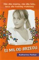 51 mil od brzegu  