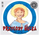 Przygody Hucka polish books in canada