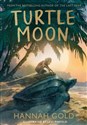 Turtle Moon  
