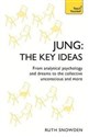 Jung: The Key Ideas  