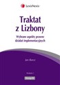 Traktat z Lizbony Wybrane aspekty prawne działań implementacyjnych 