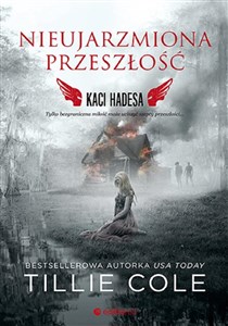 Nieujarzmiona przeszłość Kaci Hadesa Tom 6 polish usa