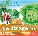 Na straganie  - Jan Brzechwa, Kazimierz Wasilewski
