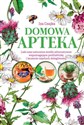 Domowa apteka Leki oraz naturalne środki alternatywne wspomagające profilaktykę i leczenie częstych dolegliwości - Polish Bookstore USA
