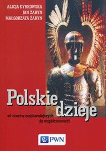 Polskie dzieje od czasów najdawniejszych do współczesności buy polish books in Usa