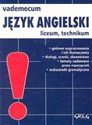 Vademecum mini Język angielski Liceum technikum polish books in canada